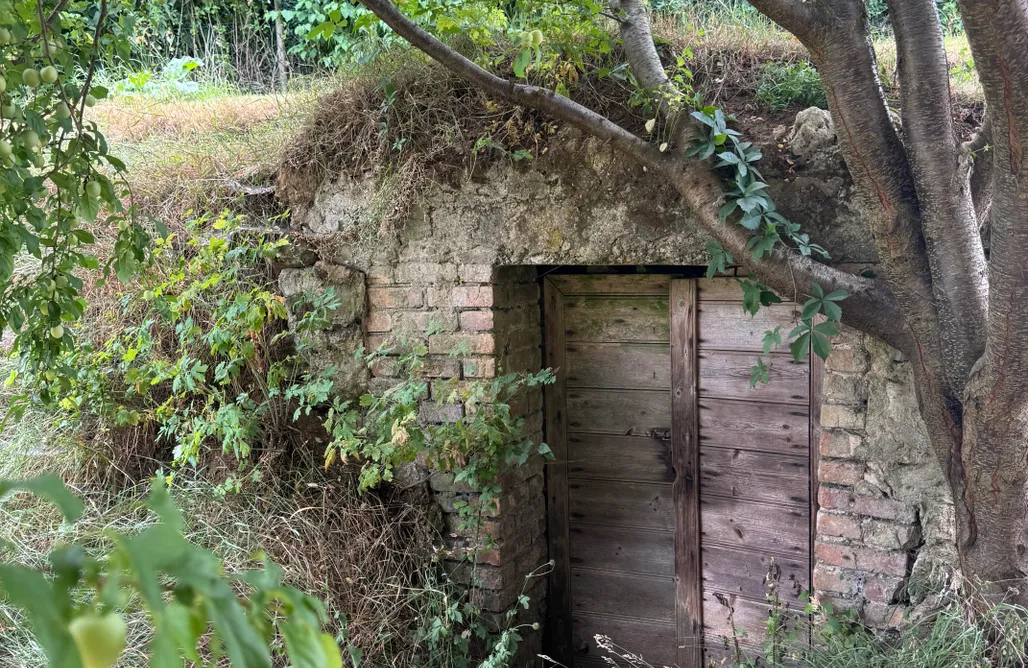 Ferienhaus Bayerischen Wald Ferienhaus - Glücklich am Bach 1