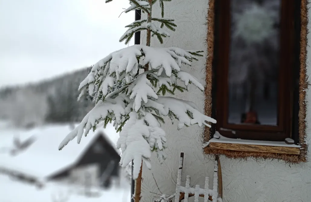 alojamientos AlohaCamp Domek szeregowy w Przyjacielówce - Miejsce Ciszy 1