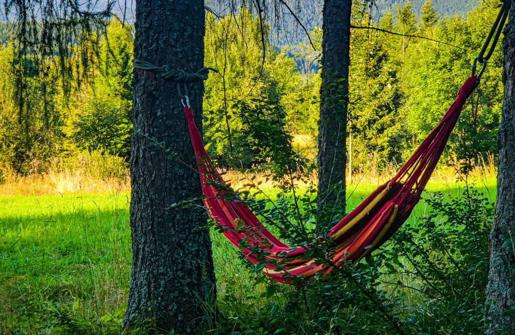 Unterkunft AlohaCamp Grapa: Magiczna Leśna Chata 3