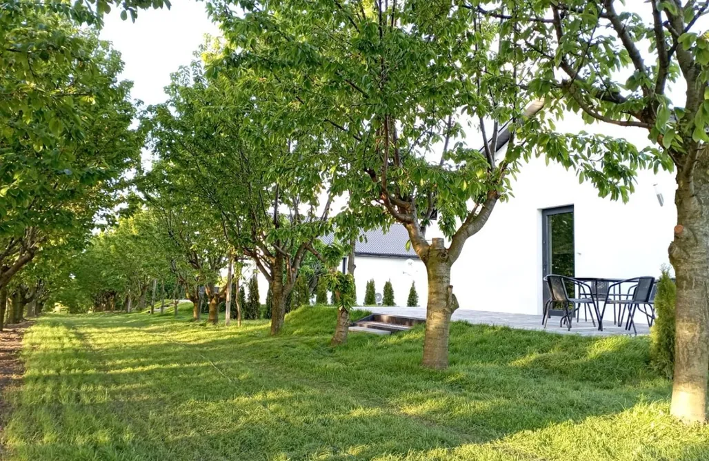 Agroturystyka Zwierzyniec Świętokrzyska Winnica Knapów 3