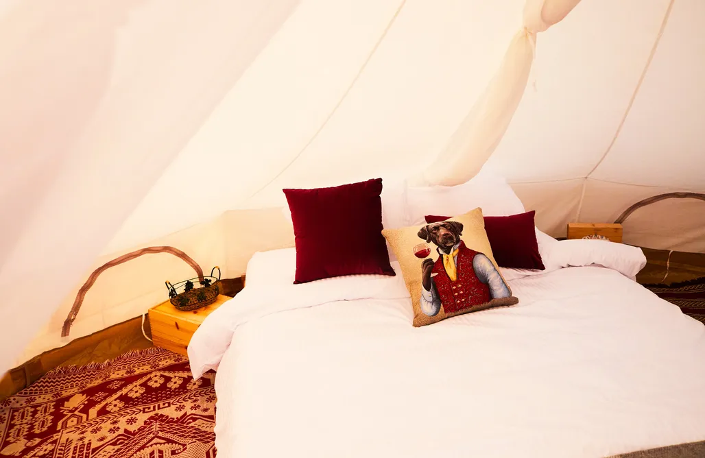 AlohaCamp Wino z prywatną łazienką 2