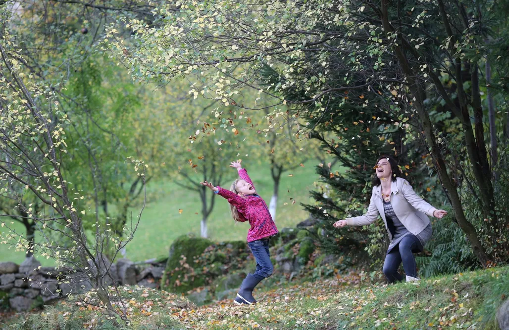 AlohaCamp Apartament Lawendowy 1