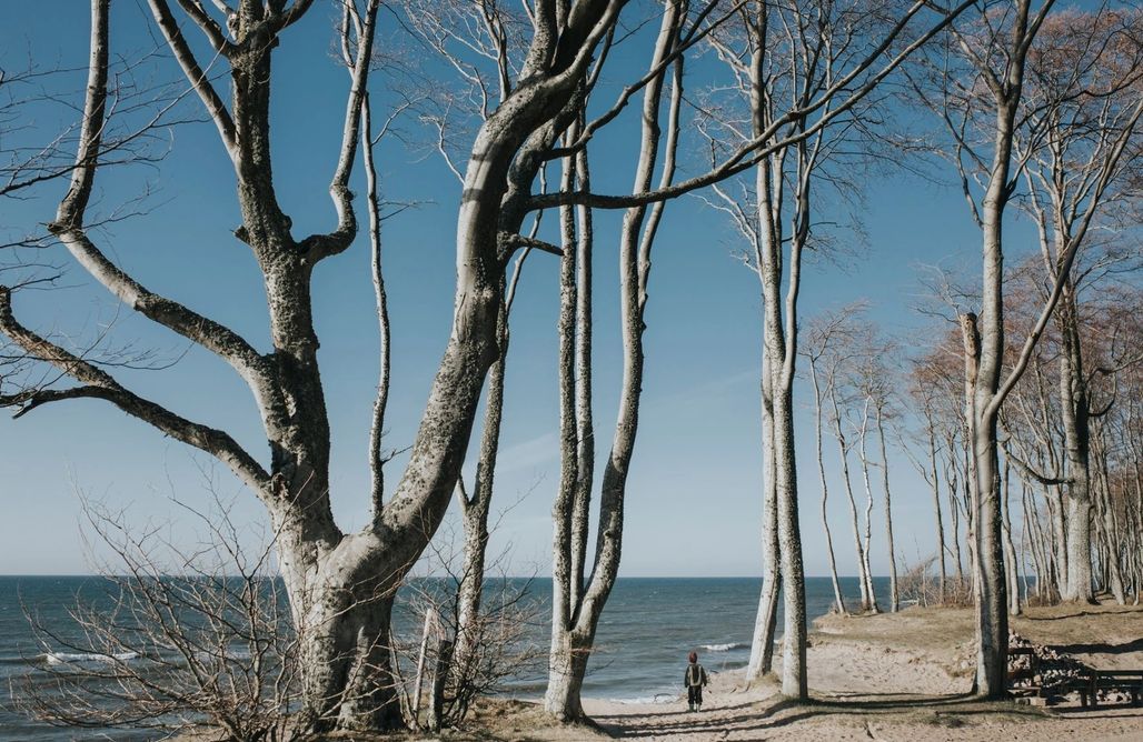 AlohaCamp Apartament 5 osobowy 1