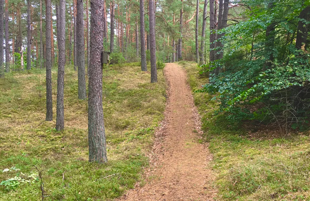 noclegi AlohaCamp Schodno13 1