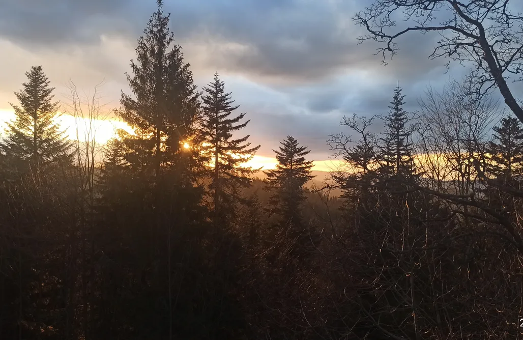 noclegi AlohaCamp Stara Szkoła  1