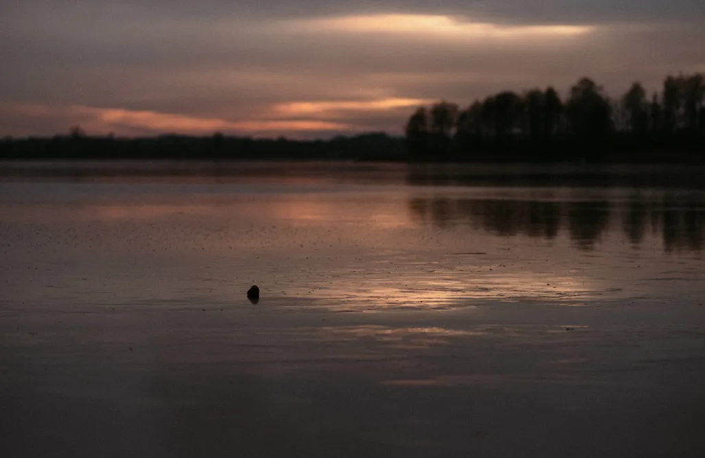 AlohaCamp Domek .nadJeziorem 1