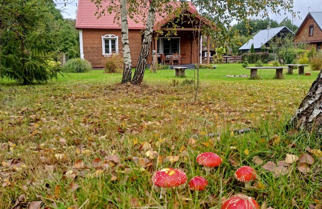 Knyszewicze noclegi Jałówka - odpocznij na Podlasiu - dom na wyłączność  1