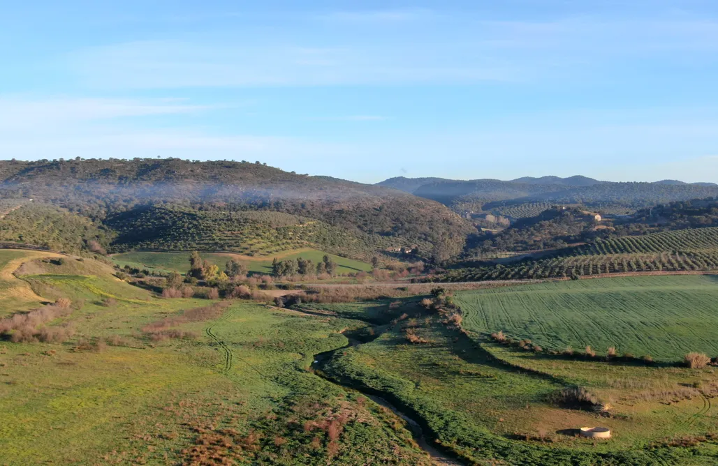 alojamientos AlohaCamp Sitio para autocaravanas - Camping Puebla 4