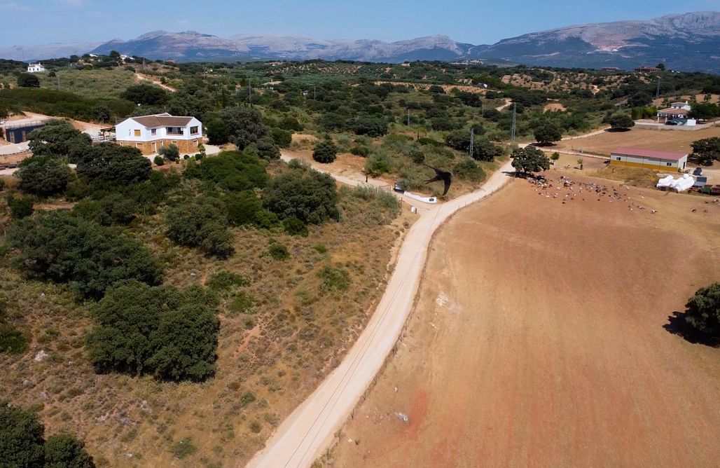 Hébergement AlohaCamp Ferme La Calma del Encinar 1