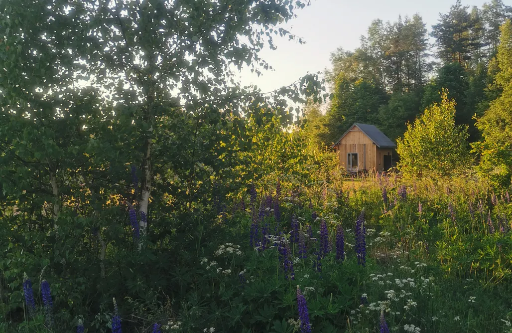 AlohaCamp Olejarnia 1