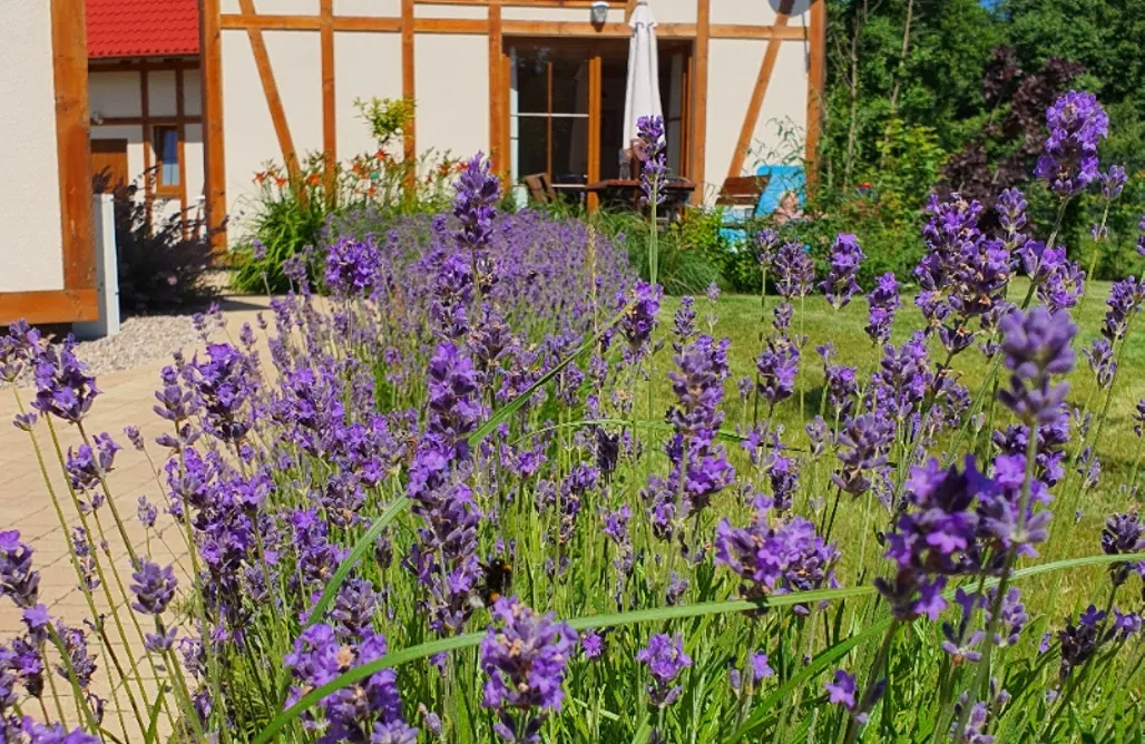 Glamping Poland Kubiczówka Tataraki - całoroczne domki nad morzem 3