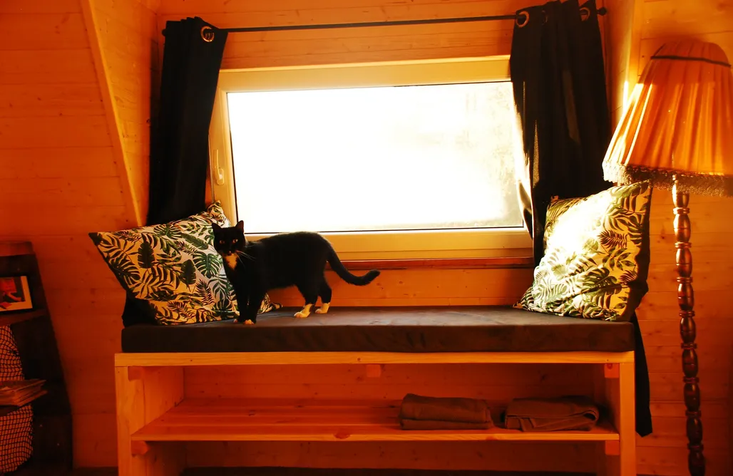 AlohaCamp Jelinkowo Kaszuby 3