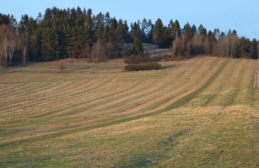 Camping Miejsce kamperowe - Piękna działka pod lasem, idealna dla osób podróżujących kamperem 3