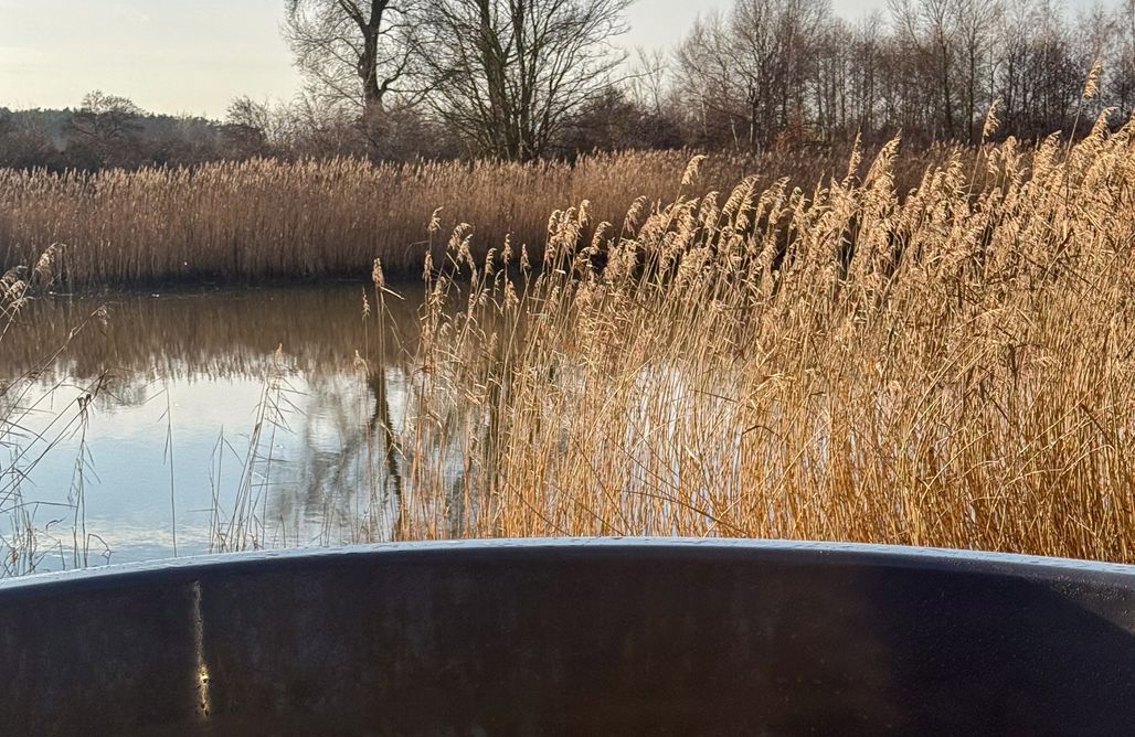 hebergement AlohaCamp Żuławska Zielona Przystań 1