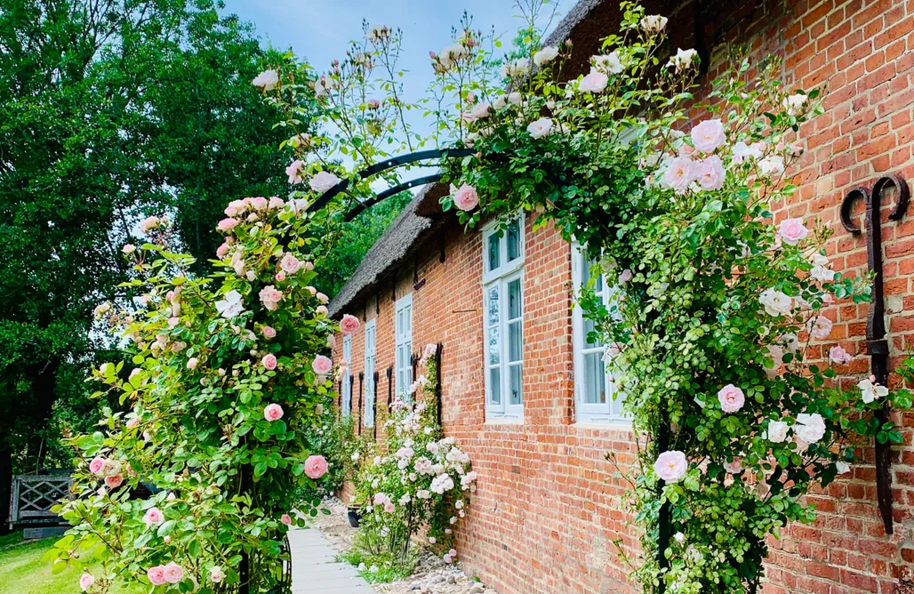 alojamientos AlohaCamp Nordsee Lodge unter Reet in Tetenbüll 4