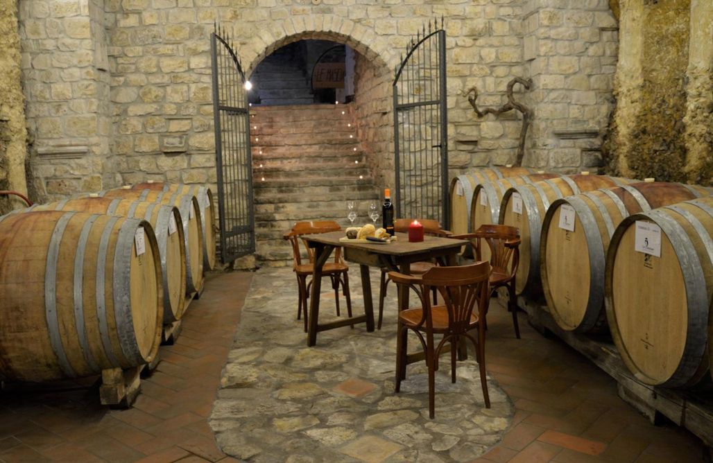 AlohaCamp Appartamento con Terrazza 1