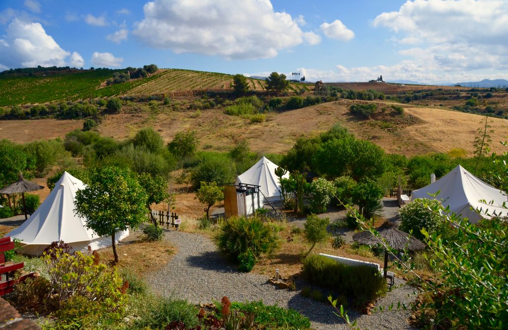 AlohaCamp accommodation Glamping  Bed & Breakfast Finca Alegria de la Vida 3