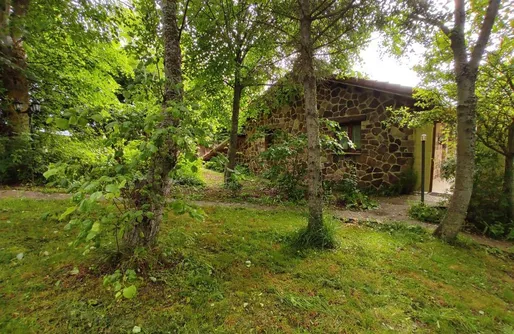 Imagen de Alojamiento Rural Los Tilos 