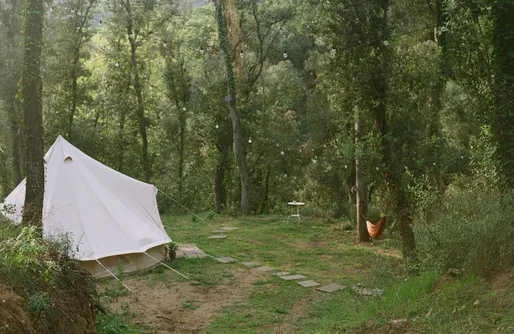 Imagen de Glamping en el bosque