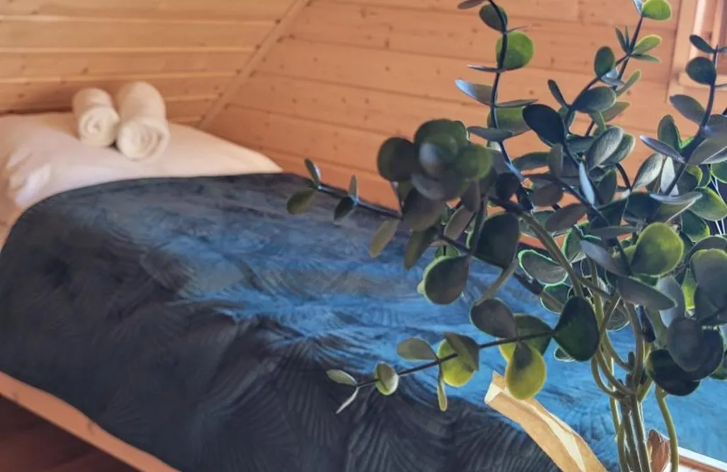 AlohaCamp Sękowy Domek 4