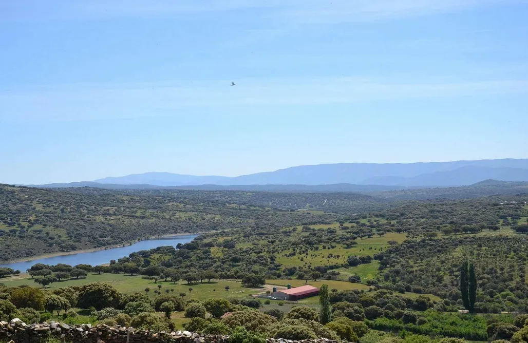 AlohaCamp Mirador de la Covatilla 1