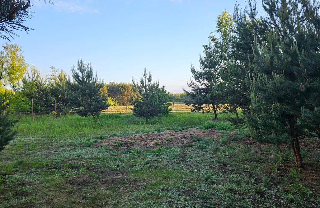 Pole Namiotowe Zakopane Miejsce kamperowe i namiotowe - Hopsolandia 2