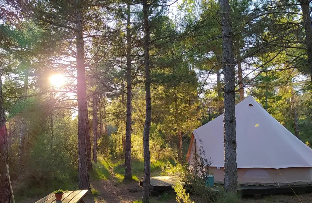 Hébergement AlohaCamp Forest Days 5
