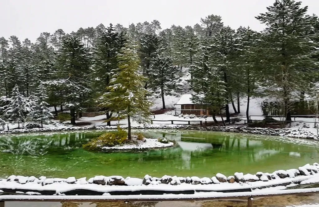 AlohaCamp La Cabaña del lago 4