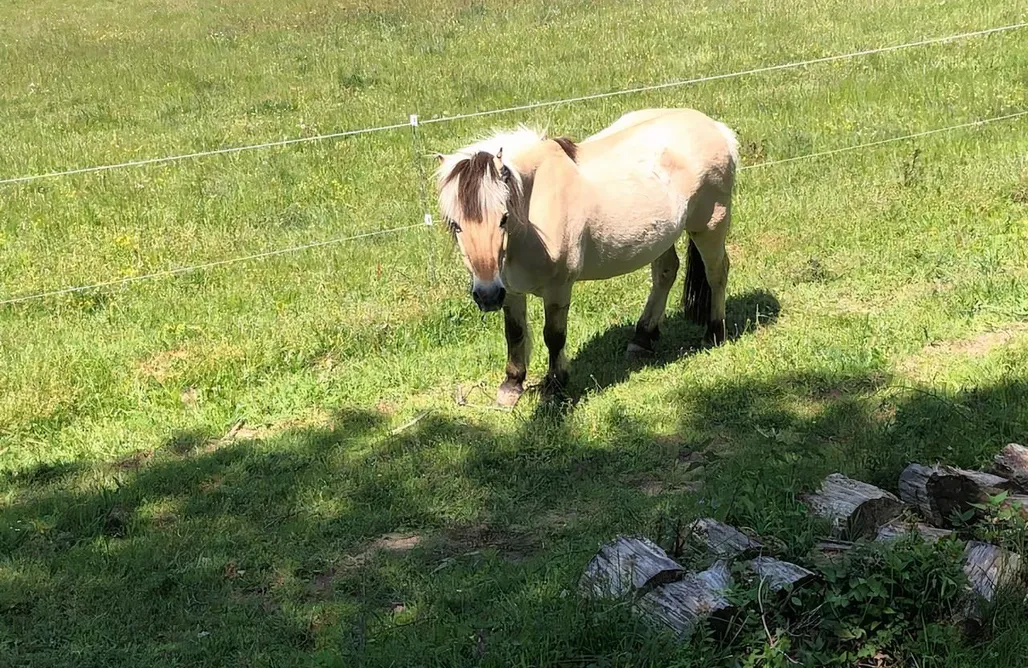 Glamping Bourgogne-Franche-Comté Räuberlager 15 1