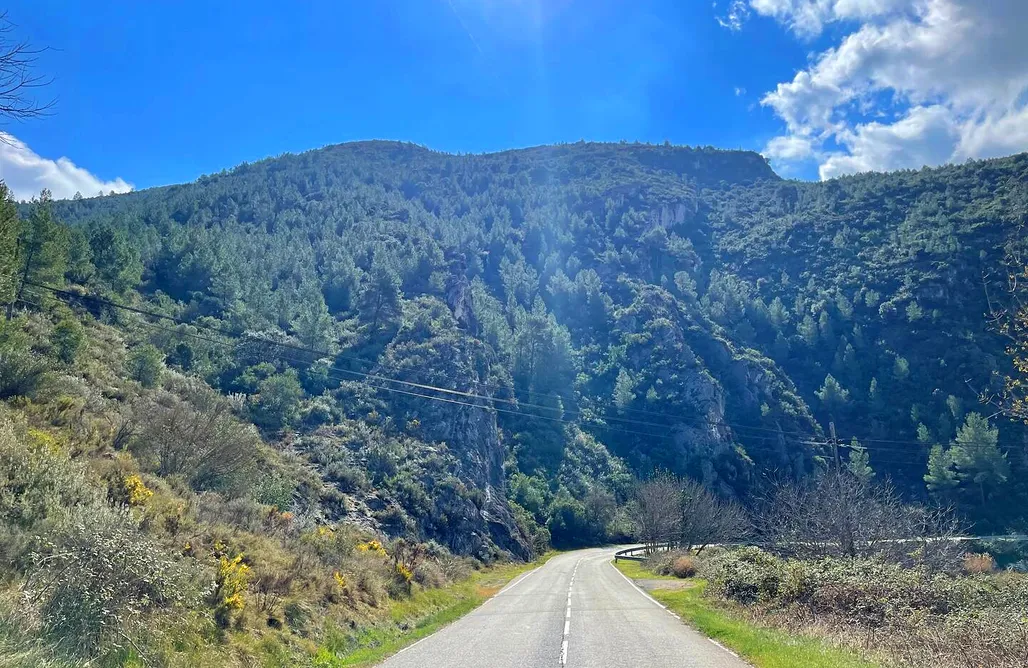 alojamientos AlohaCamp La Esqueleta alojamiento rural 1