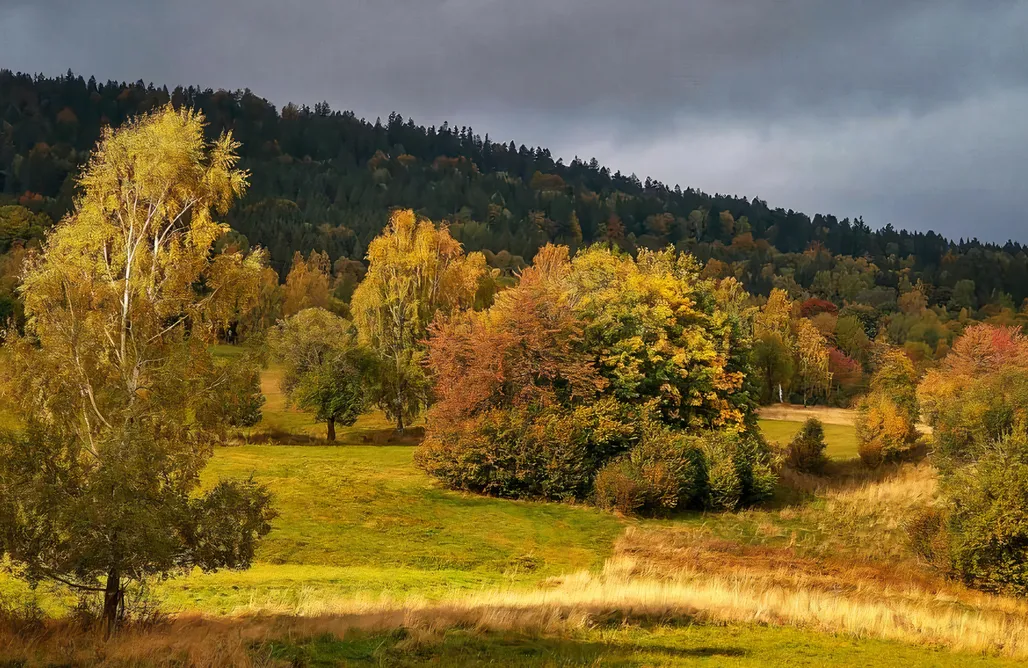 noclegi AlohaCamp Rezydencja Ostoja 5