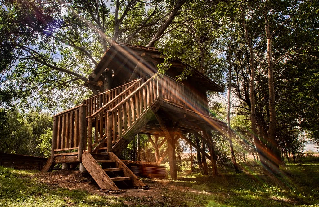 Glamping Domy na drzewach - Stara Kuźnia Pstrągownia 2