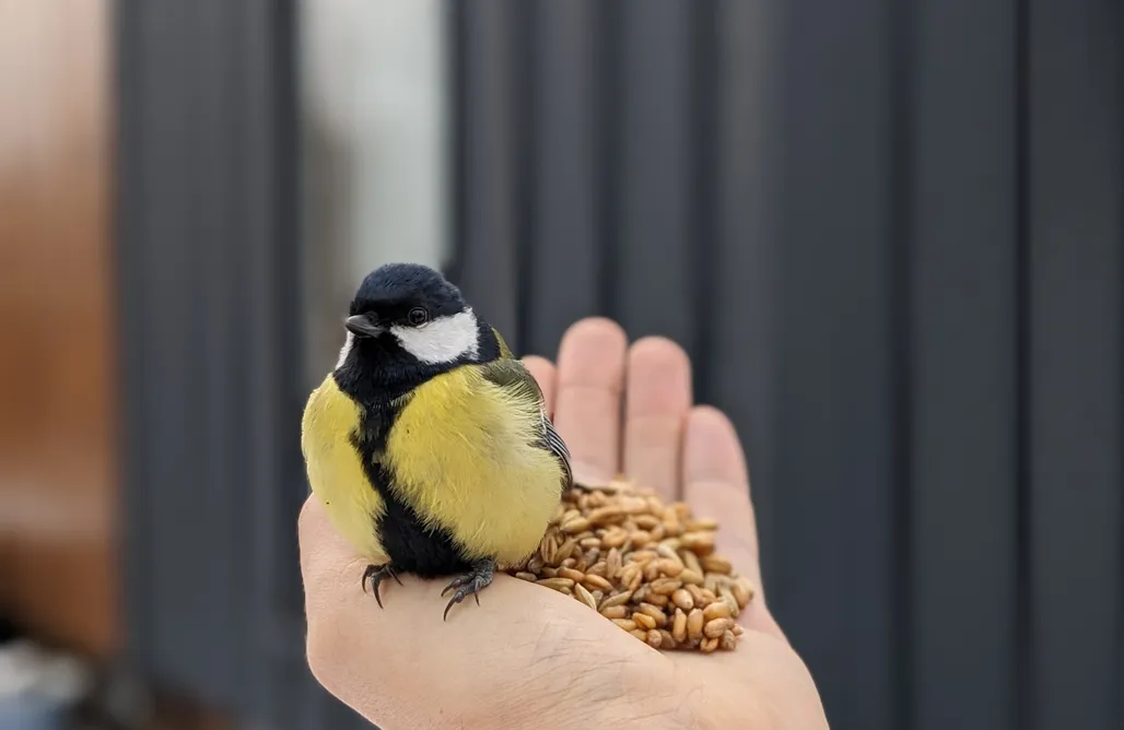 Fajne Miejsca na Wakacje w Polsce hurra dziura 1