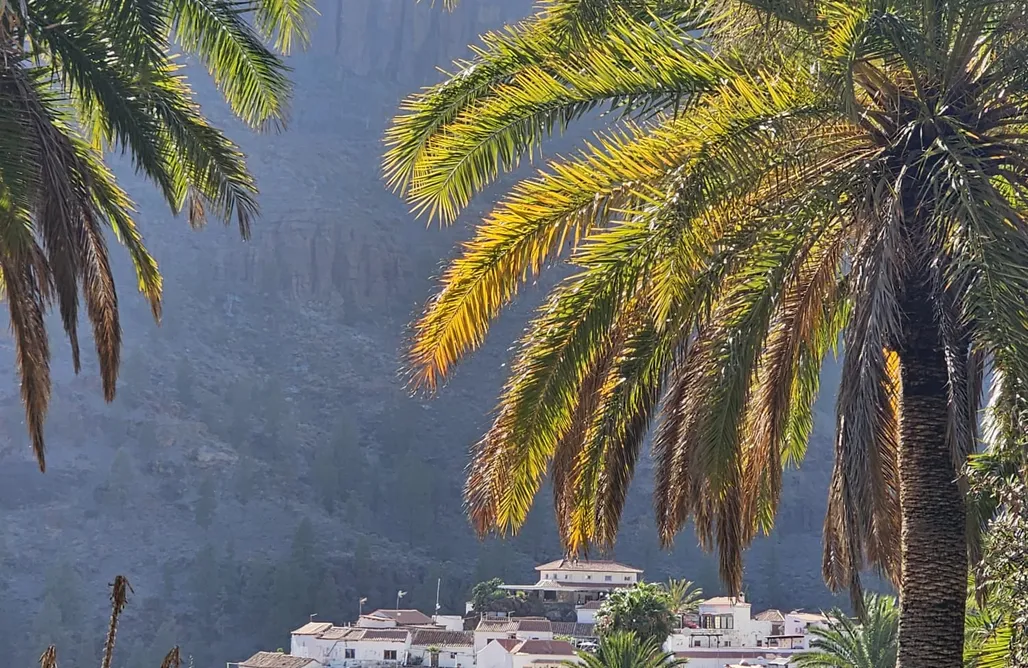 noclegi AlohaCamp A tu Vera 5