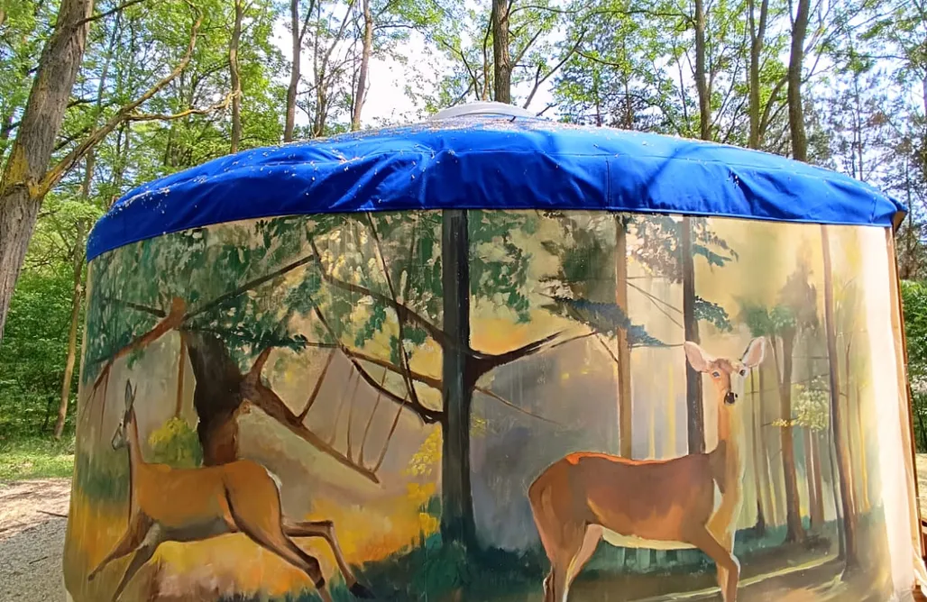 AlohaCamp accommodation Yurts at the Edge of the Forest 1