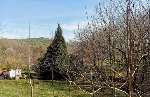 Imagen de Sitio para tiendas de campaña - La Arrulla