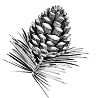 Cesa DOLOMITI Gastgebe Cesa Dolomiti