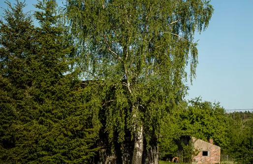 Zdjęcie obiektu Miejsce kamperowe - Zacisze pod Zającem