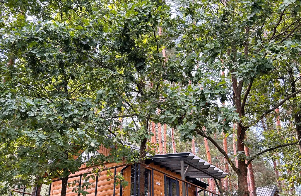 Cyziówka (domki na drzewie & domki na wodzie & namioty glampingowe) AlohaCamp