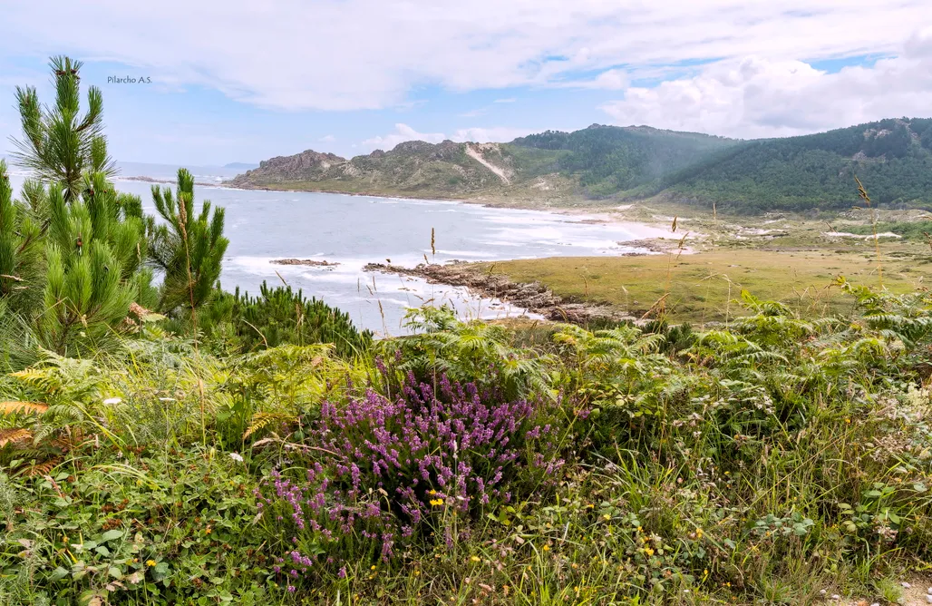 AlohaCamp Alcatraz 1