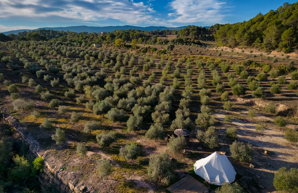 AlohaCamp Les Oliveretes 1