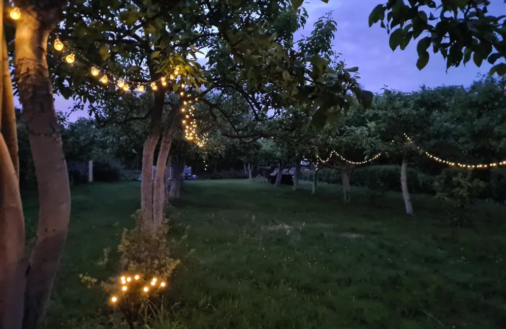 noclegi AlohaCamp Studio Brzózka

 4