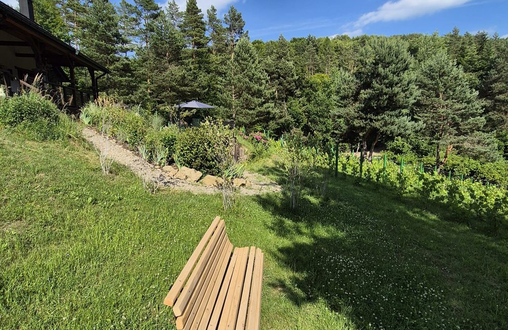 noclegi AlohaCamp Woodland House 2 5