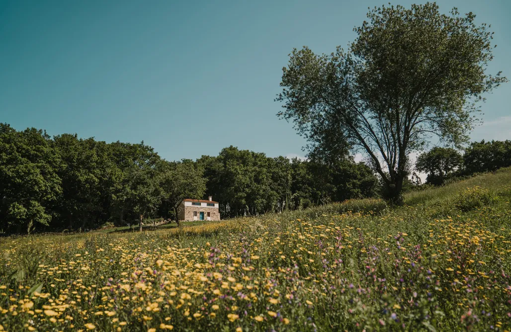 Cabañitas en Galicia La Casa de la Pradera  3