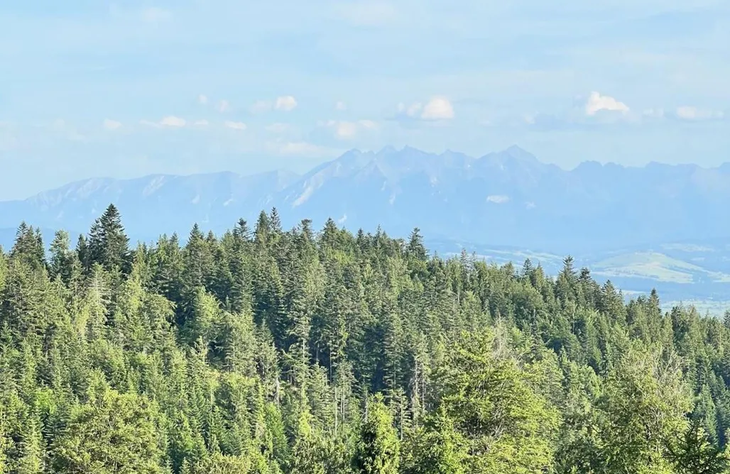 noclegi AlohaCamp Terenówka Bacówka 4