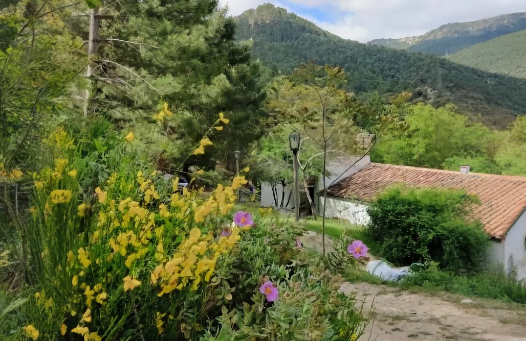 alojamientos AlohaCamp Vivienda turística El Seminario 2