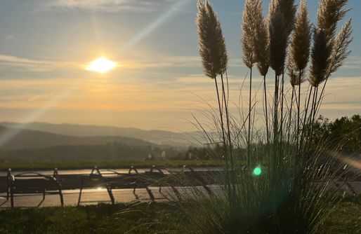 Zdjęcie obiektu Bocianie Gniazdo w Rabce