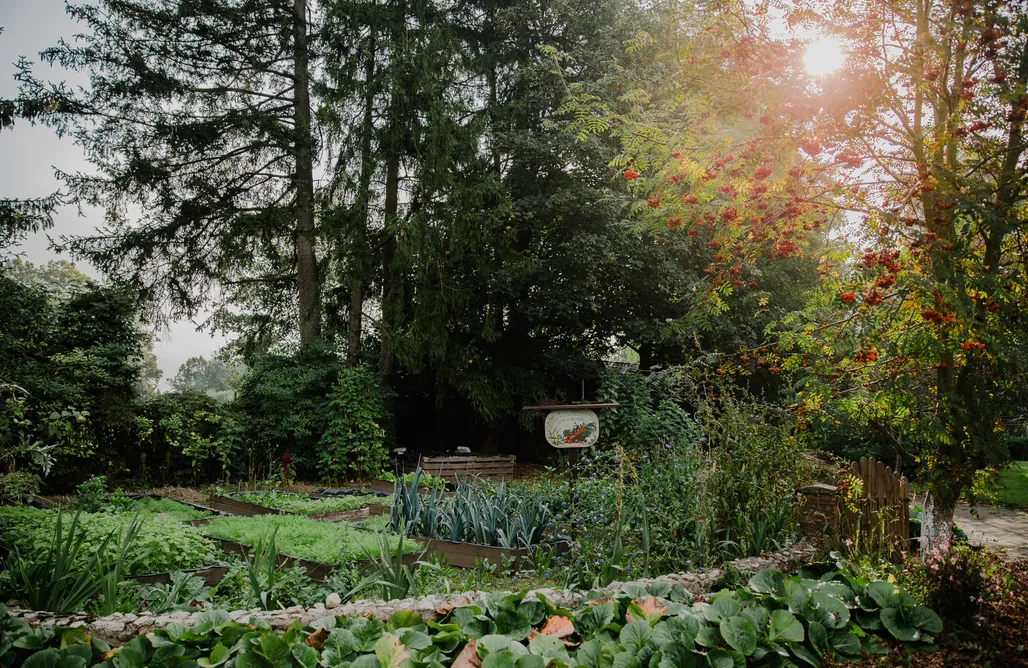 AlohaCamp accommodation Smakowity dom - Dworek Tradycja 3