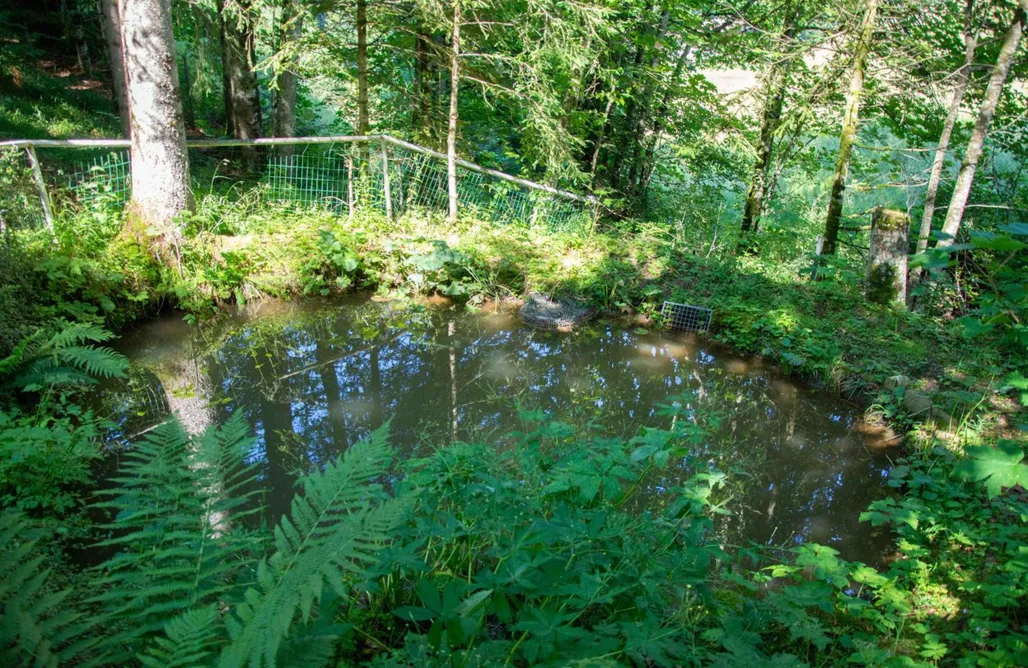 Ferienhaus Schetteregg AlohaCamp