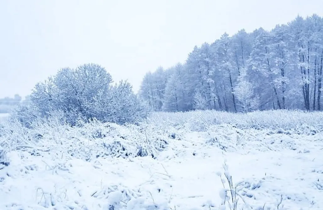 Jurta Stokrotka Glamping AlohaCamp